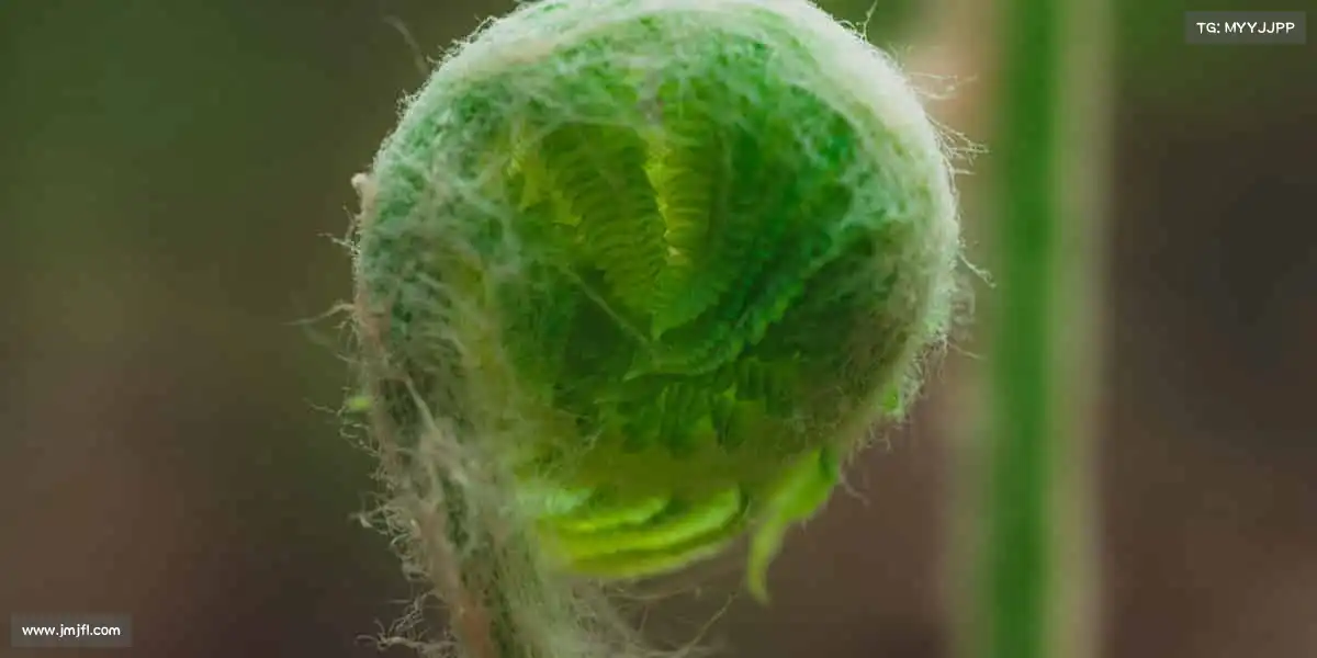 <strong>米兰</strong>🏹瞄准目标，全力冲刺！在体育的世界，你就是自己的冠军🏆